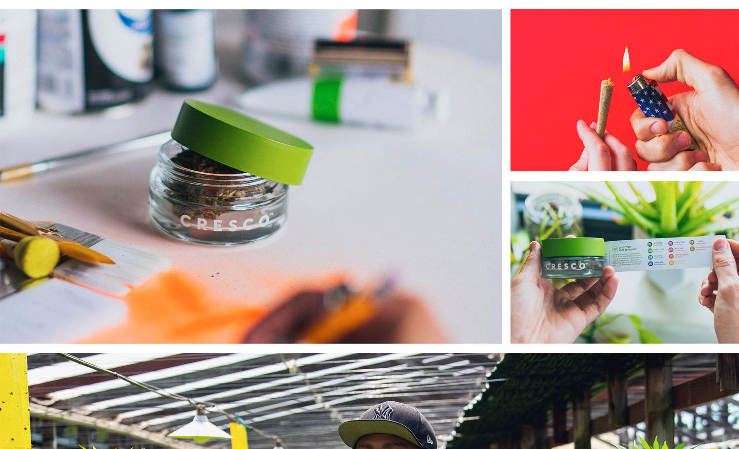 1500x912 zoerain cresco 13