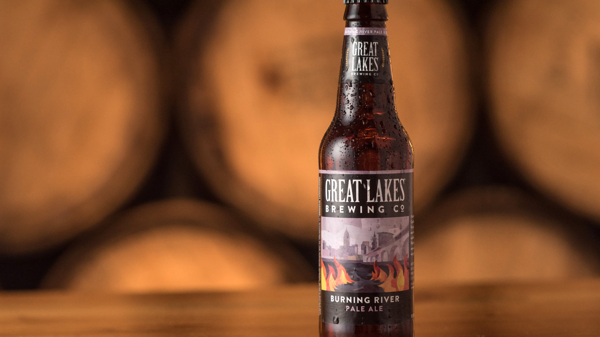 019b GLBC 2017 booth