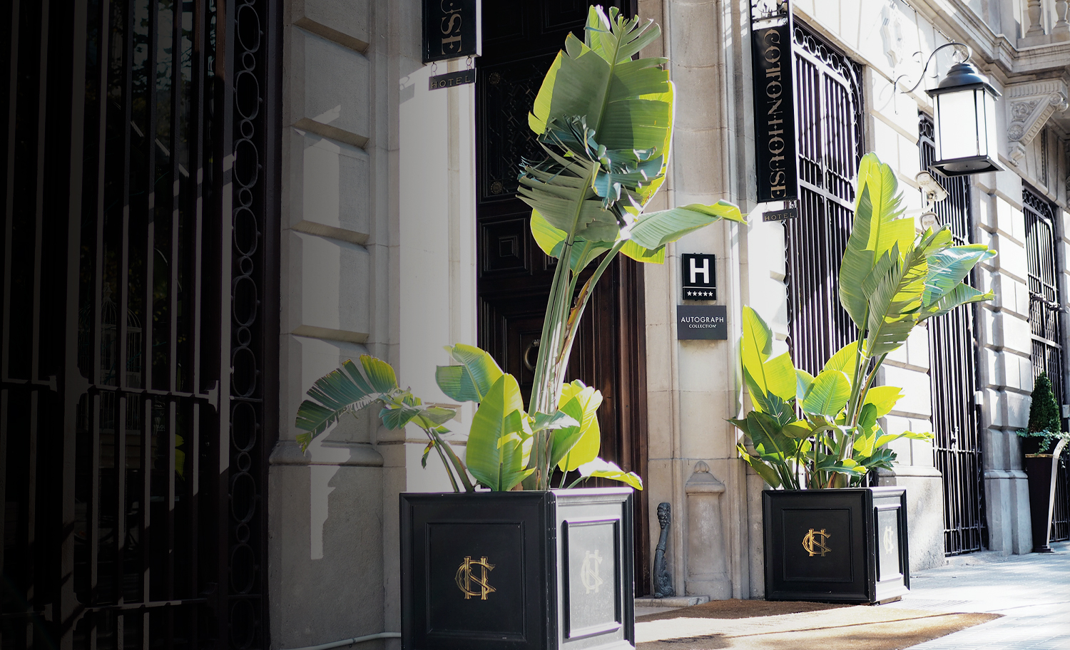 1500x912 FeaturedImage Cottonhouse