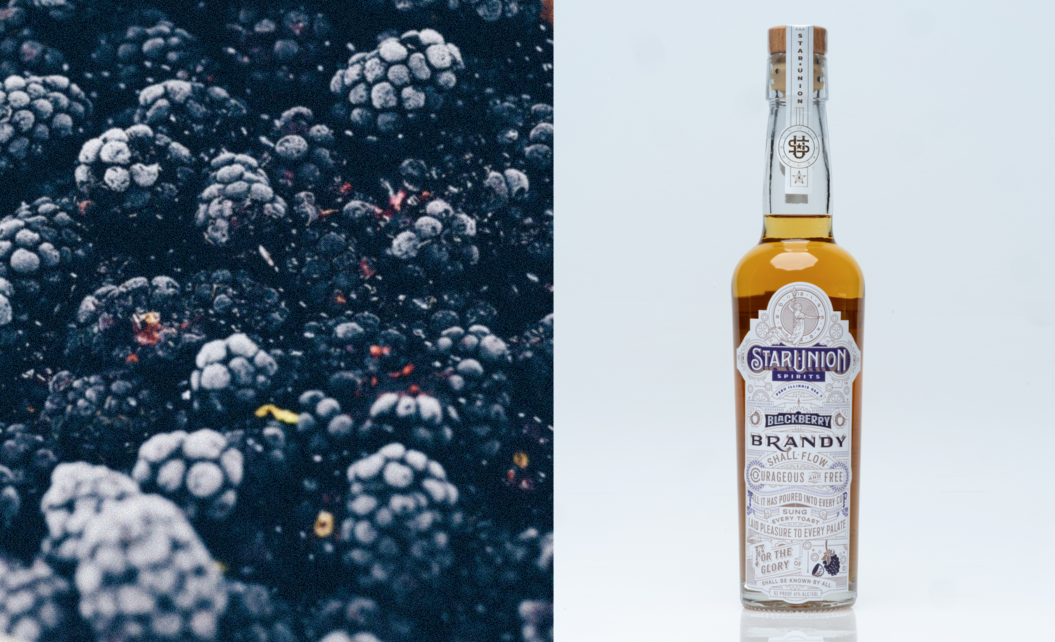 blackberry brandy image