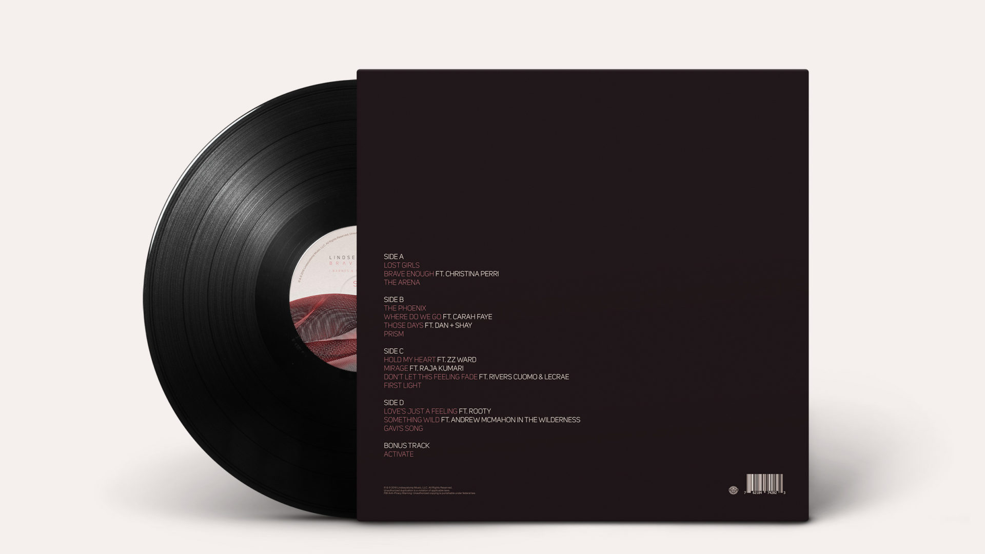04 diftype LS vinyl mockup back