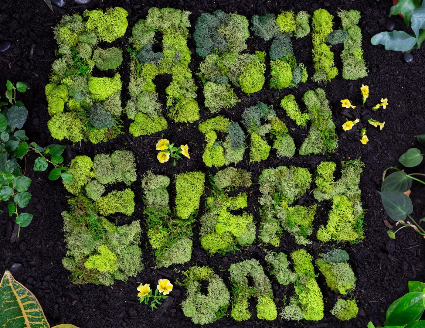 001 Walmart EarthDay Evans