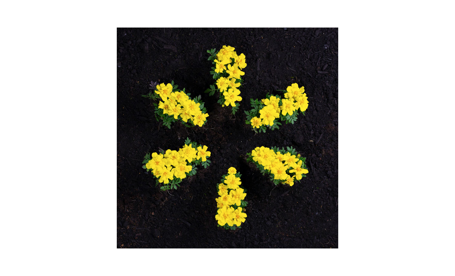 1500x912 DEvans Walmart icon