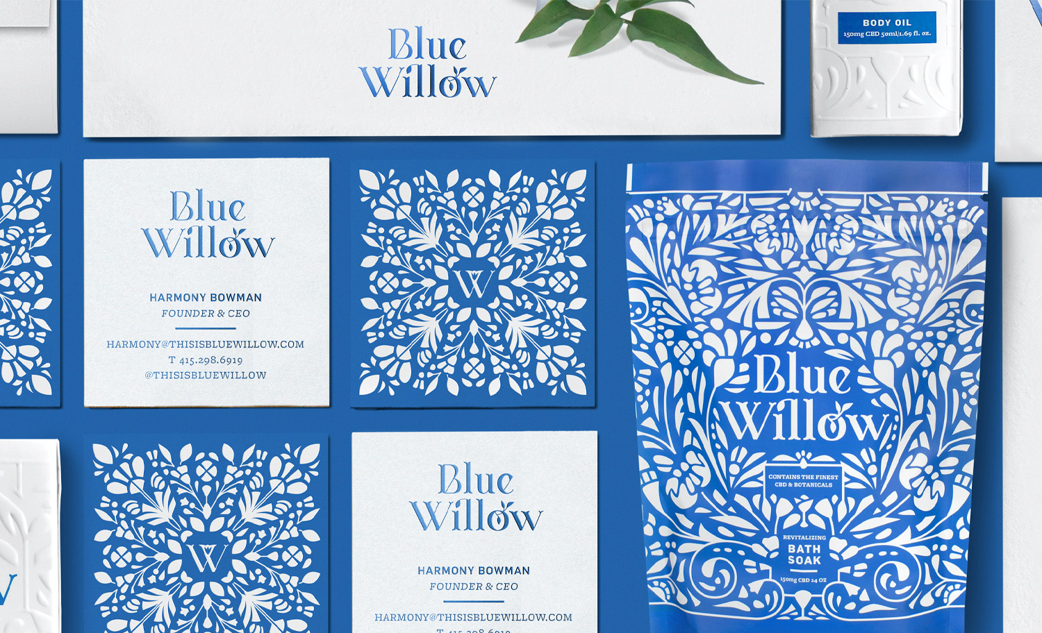 1500x912 KCS BlueWillow 01