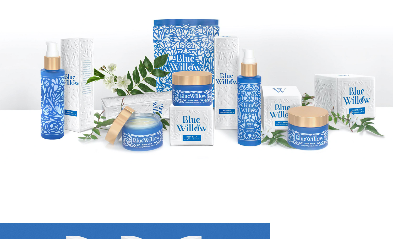 1500x912 KCS BlueWillow 04