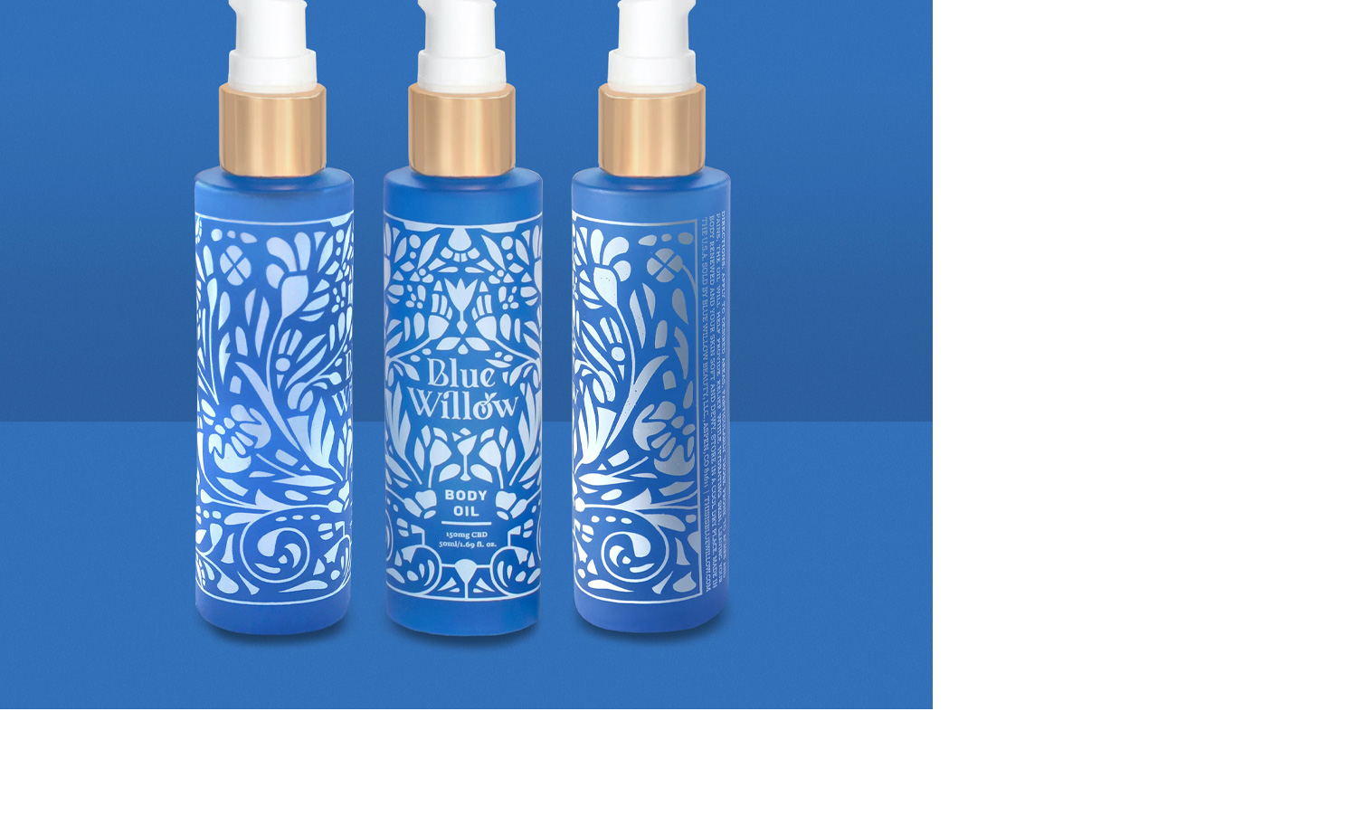 1500x912 KCS BlueWillow 05