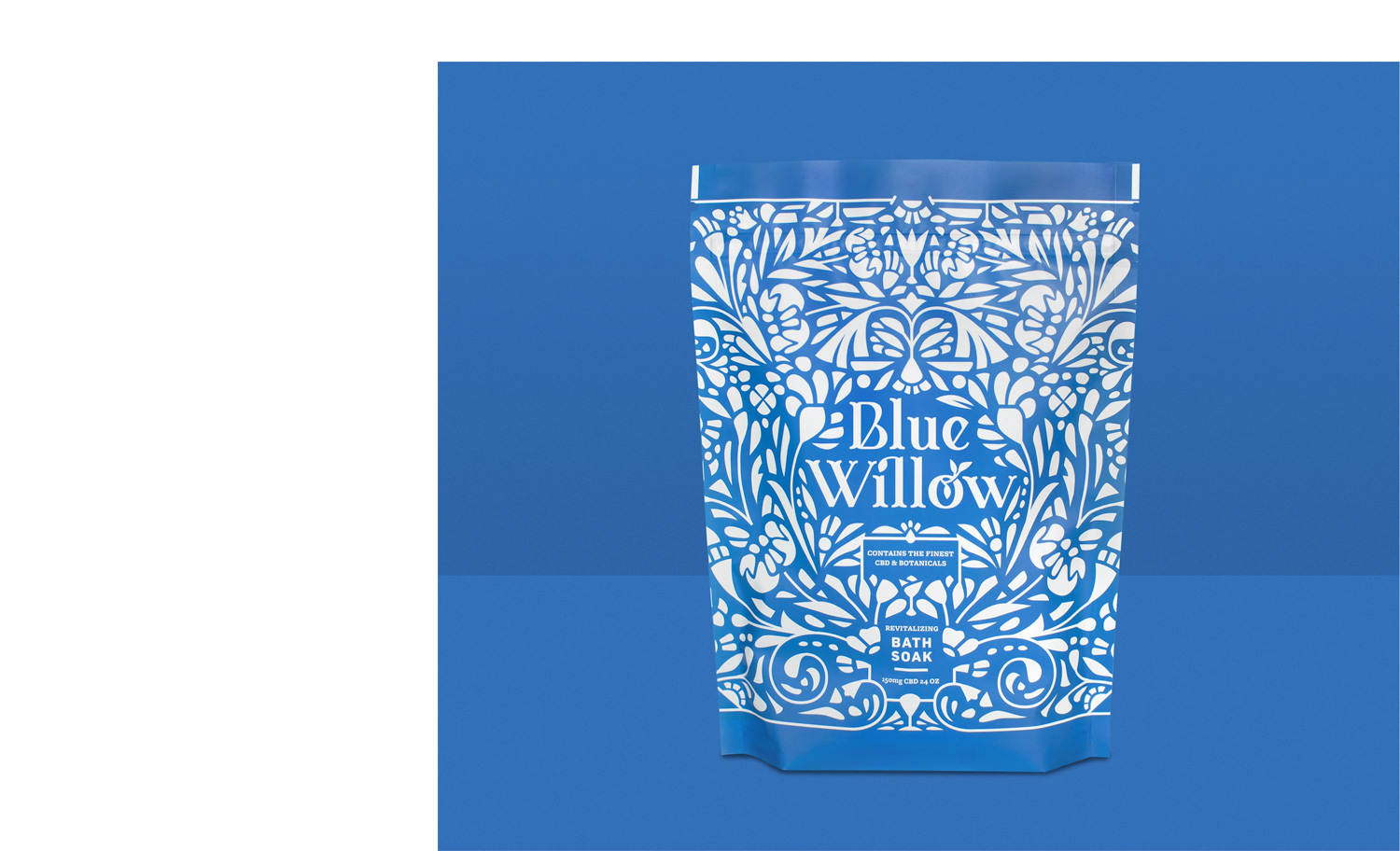 1500x912 KCS BlueWillow 06