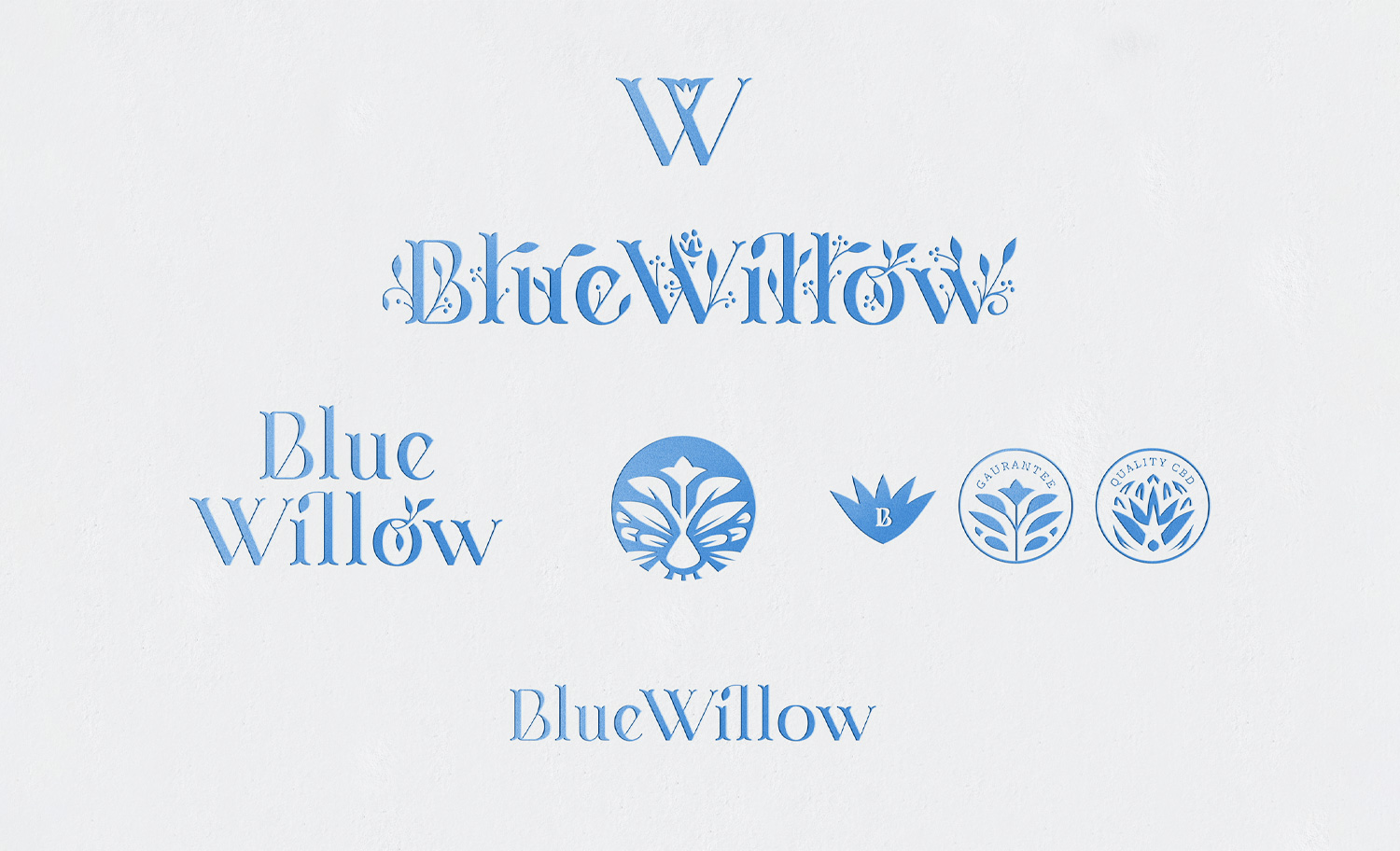 1500x912 KCS BlueWillow 10