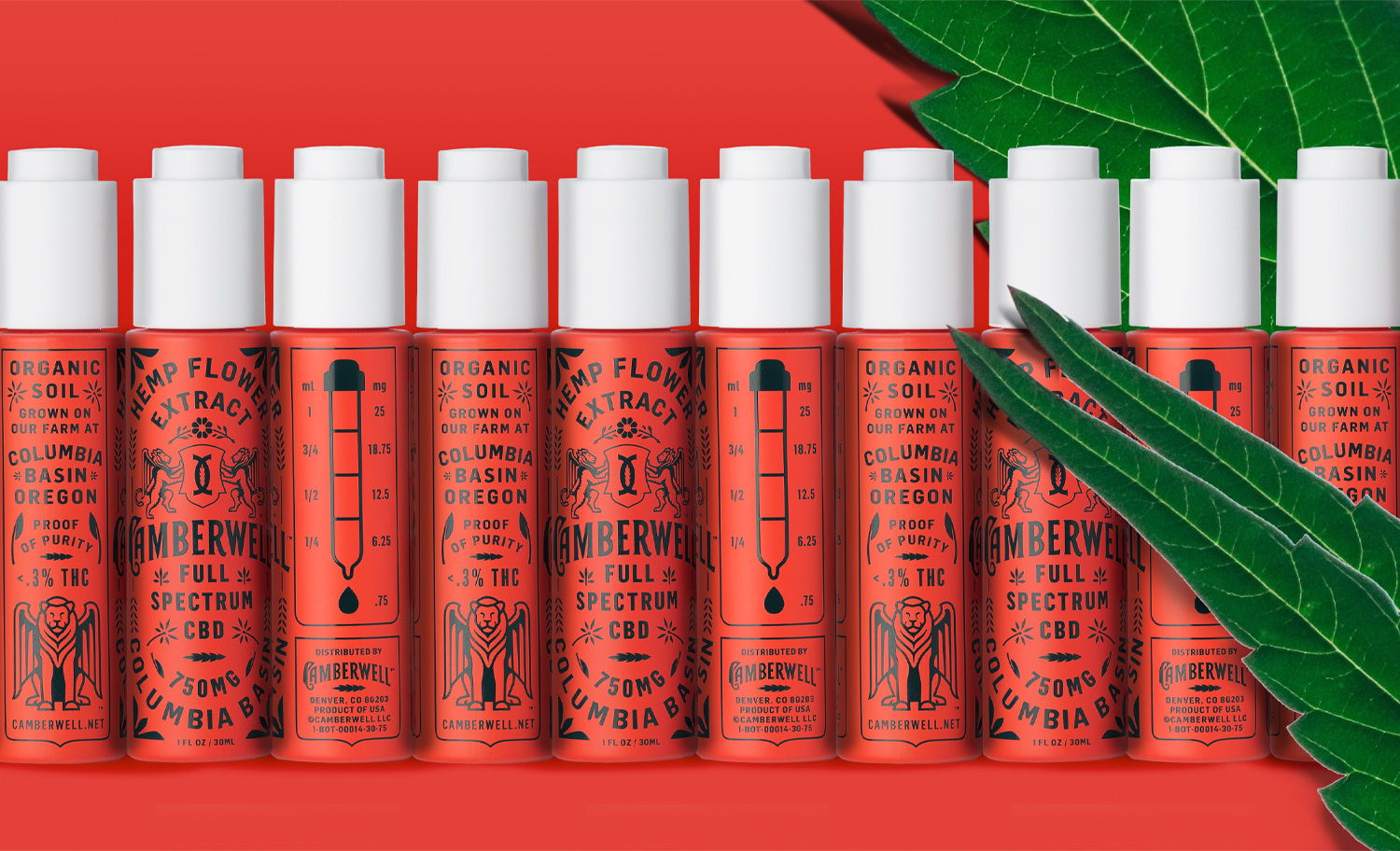 Camberwell Cannabis Branding Product Design