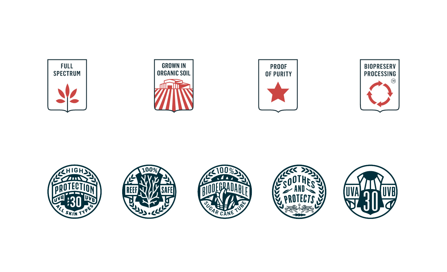 Logo Design for Camberwell Cannabis Branding