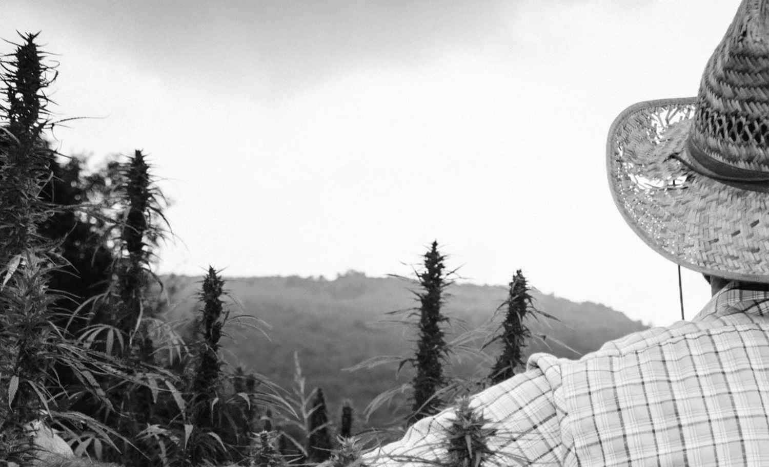 1500x912 KCS Camberwell 16