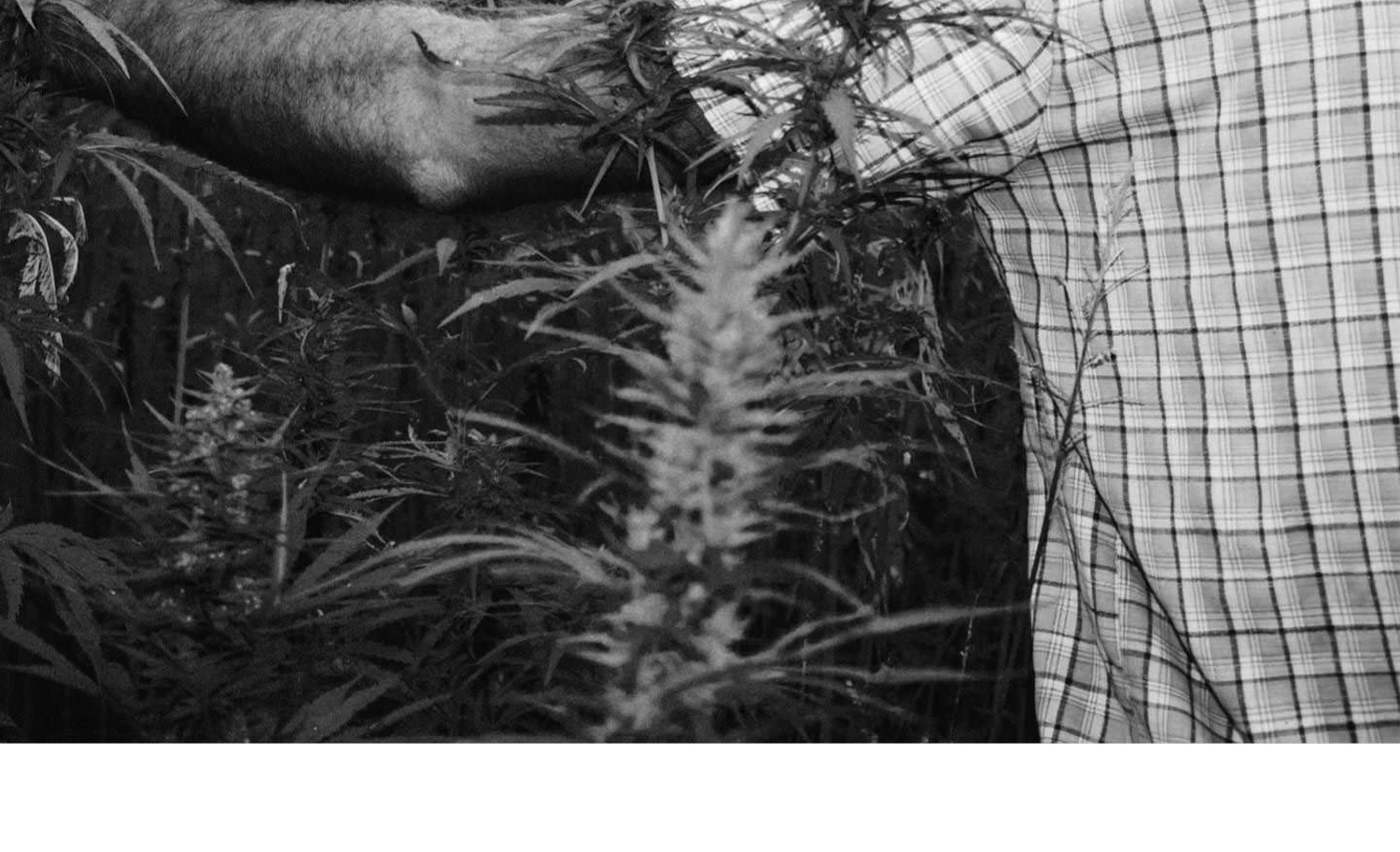 1500x912 KCS Camberwell 17