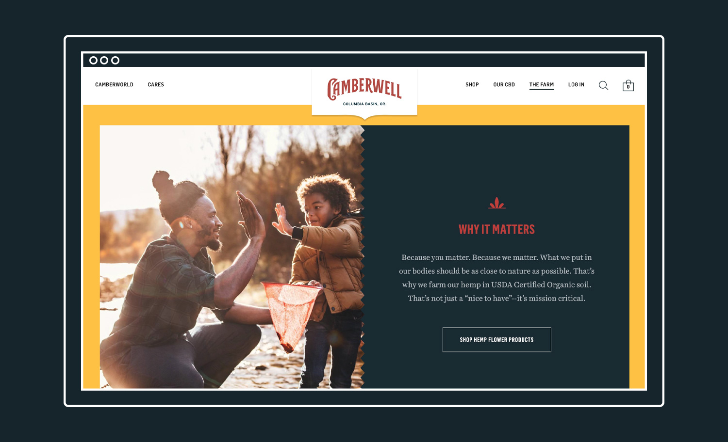 Website Infographic Camberwell