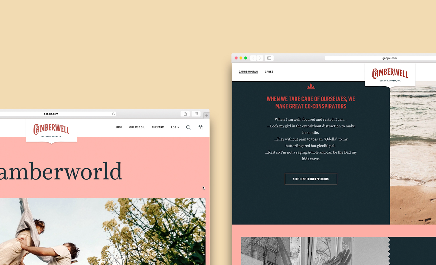 Camberwell Interactive Reworked Webspread