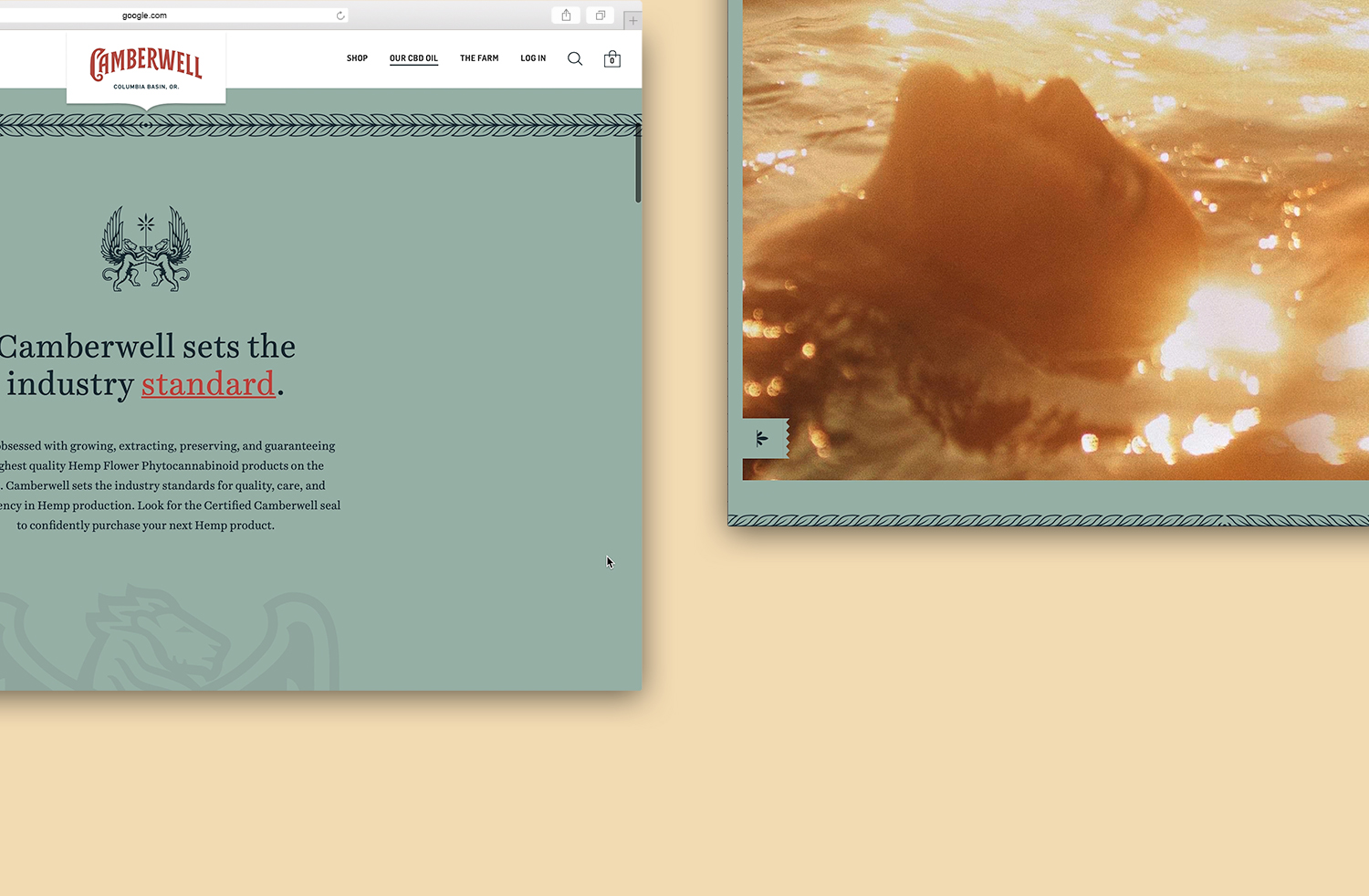 Camberwell Interactive Website Design