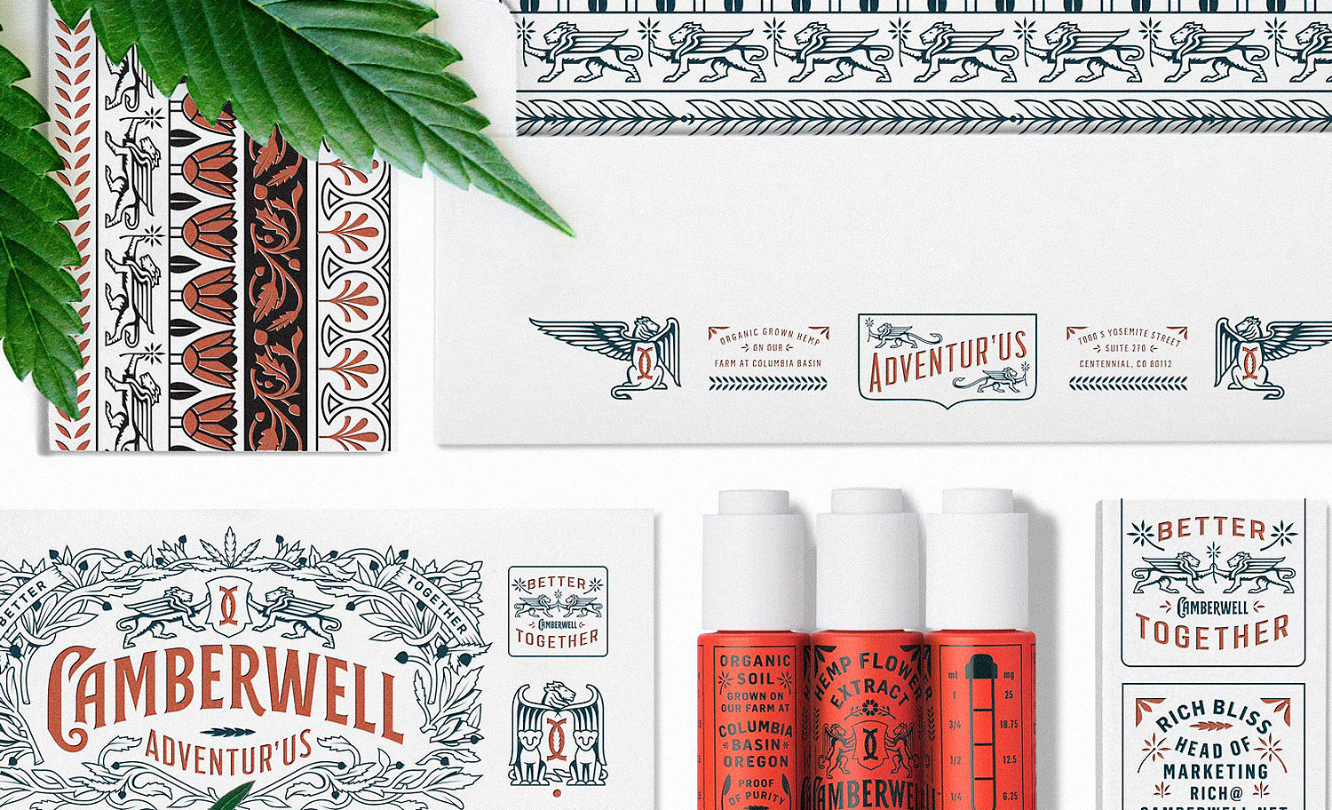 Camberwell Interactive focus spread