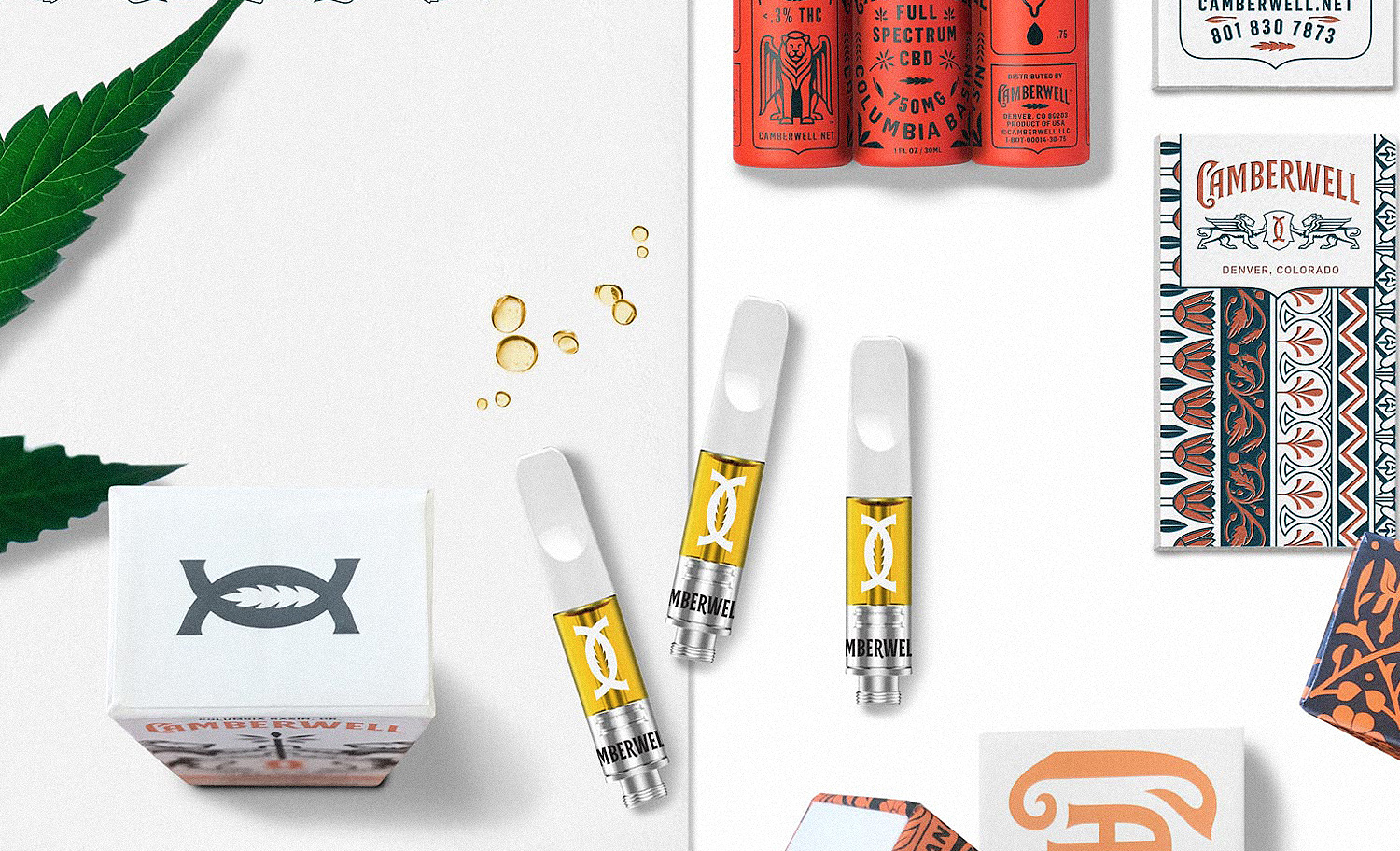 Camberwell Interactive focus spread B